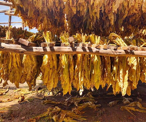 Private Label Manufacturing